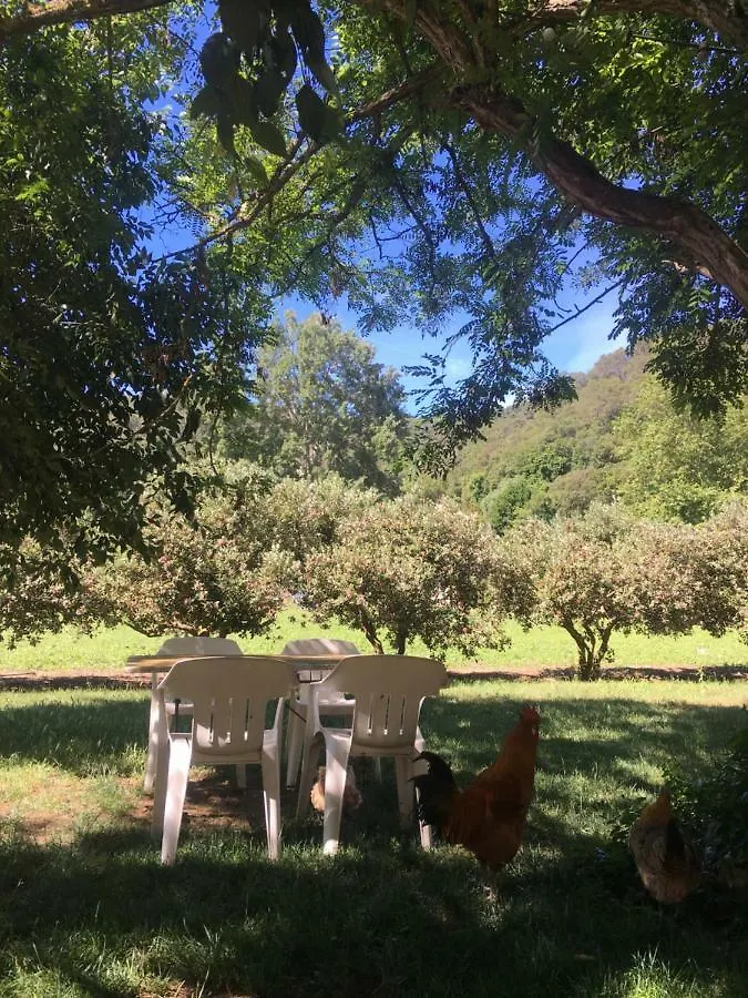 Masia Can Ninot Santa Susanna Country house